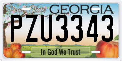 GA license plate PZU3343