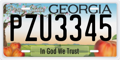 GA license plate PZU3345