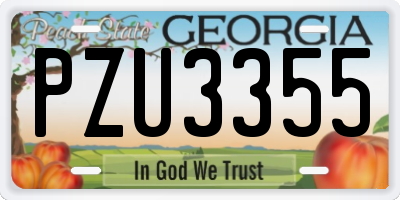 GA license plate PZU3355