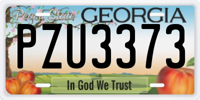 GA license plate PZU3373