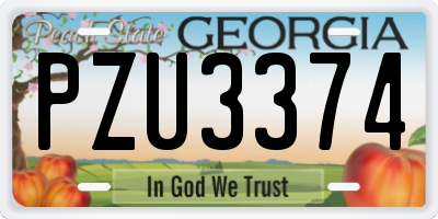 GA license plate PZU3374