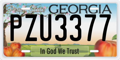 GA license plate PZU3377