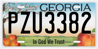 GA license plate PZU3382