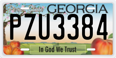 GA license plate PZU3384