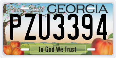 GA license plate PZU3394