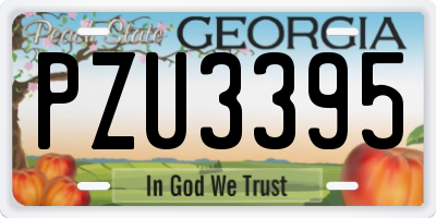 GA license plate PZU3395