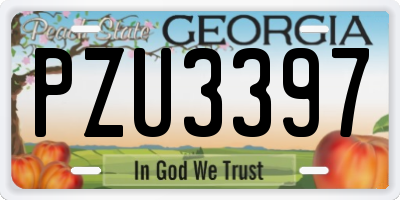 GA license plate PZU3397