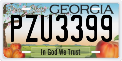 GA license plate PZU3399