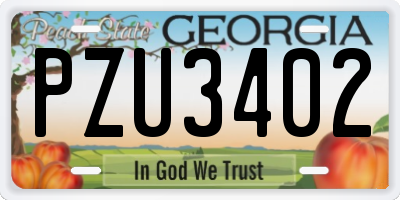 GA license plate PZU3402