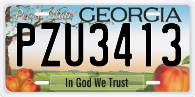 GA license plate PZU3413