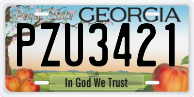 GA license plate PZU3421