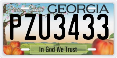 GA license plate PZU3433