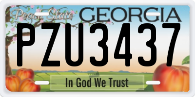 GA license plate PZU3437