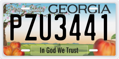 GA license plate PZU3441