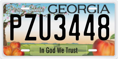 GA license plate PZU3448