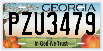 GA license plate PZU3479
