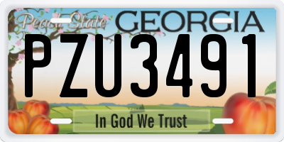 GA license plate PZU3491