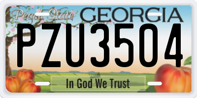 GA license plate PZU3504