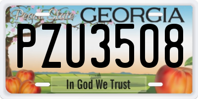 GA license plate PZU3508