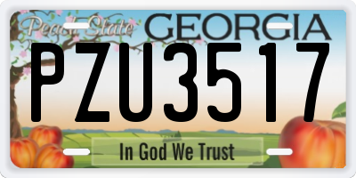 GA license plate PZU3517
