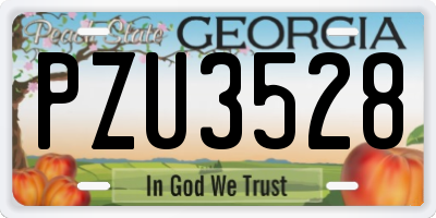 GA license plate PZU3528