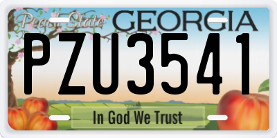 GA license plate PZU3541