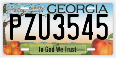 GA license plate PZU3545