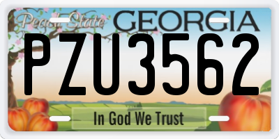 GA license plate PZU3562
