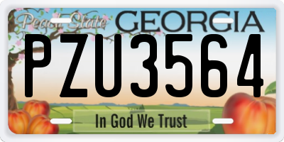 GA license plate PZU3564
