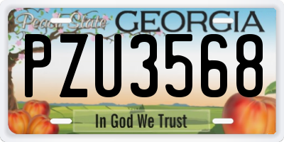 GA license plate PZU3568