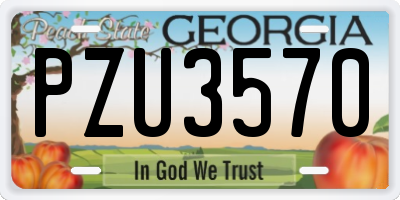 GA license plate PZU3570