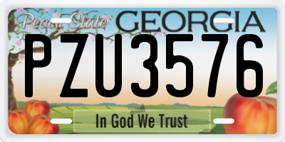 GA license plate PZU3576