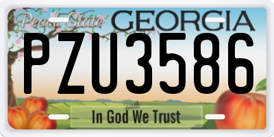 GA license plate PZU3586