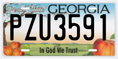 GA license plate PZU3591