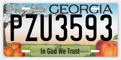 GA license plate PZU3593