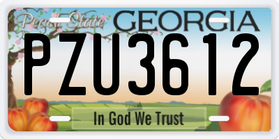 GA license plate PZU3612