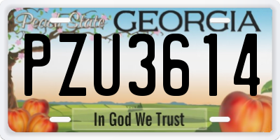 GA license plate PZU3614
