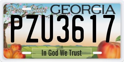 GA license plate PZU3617