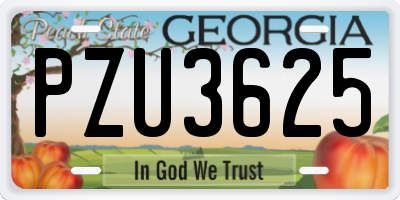 GA license plate PZU3625