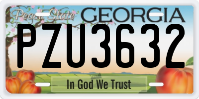 GA license plate PZU3632