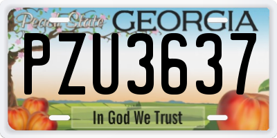 GA license plate PZU3637