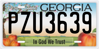 GA license plate PZU3639