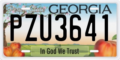 GA license plate PZU3641