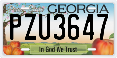 GA license plate PZU3647