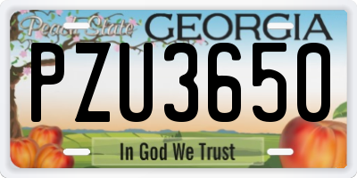 GA license plate PZU3650