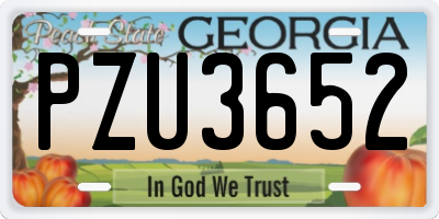 GA license plate PZU3652