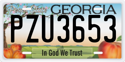 GA license plate PZU3653