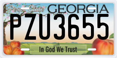 GA license plate PZU3655