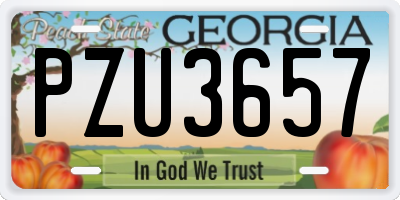 GA license plate PZU3657