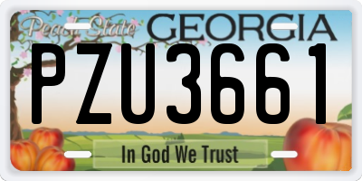 GA license plate PZU3661